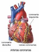 Valvulas del corazon obstruidas arterias principales