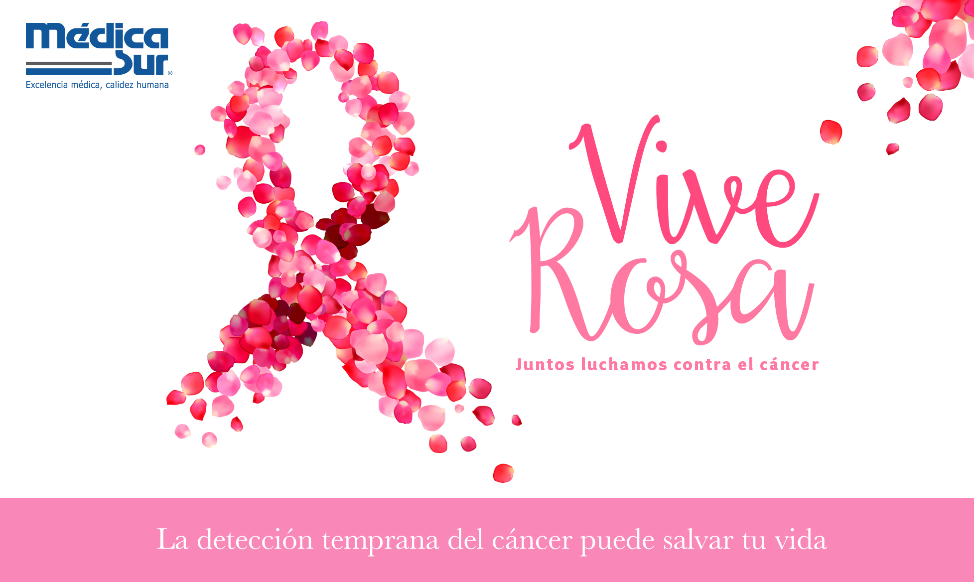 Vive Rosa