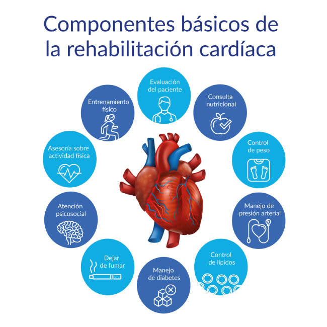 Componentes básicos de rehabilitación cardiaca